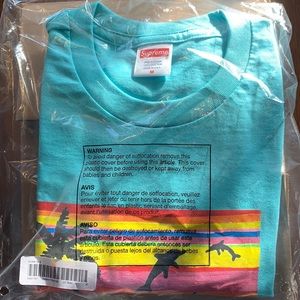 Supreme Dunk t shirt